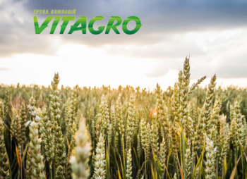 Группа компаний Vitagro наращивает мощности семенного завода